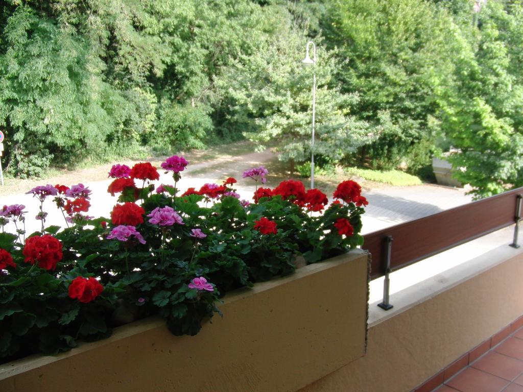 Appartementhaus Im Gruen Bad Bellingen Rom bilde